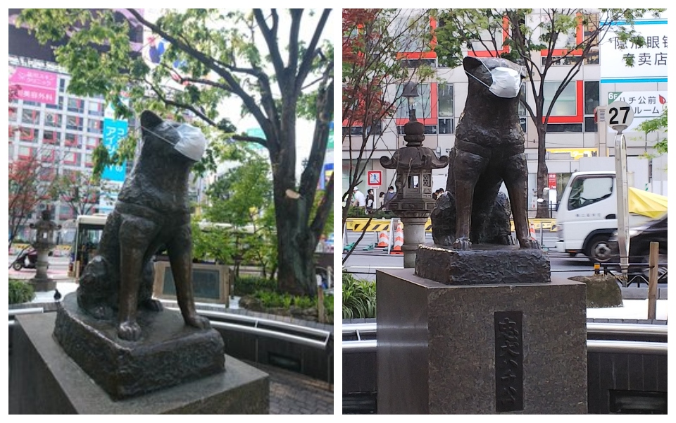 Chính quyền Tokyo kêu gọi người dân ngưng đeo khẩu trang cho tượng chó Hachiko
