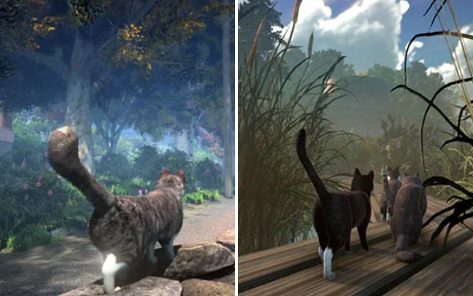 Game cho phép bạn hoá thân thành... mèo hoang sống trên đảo