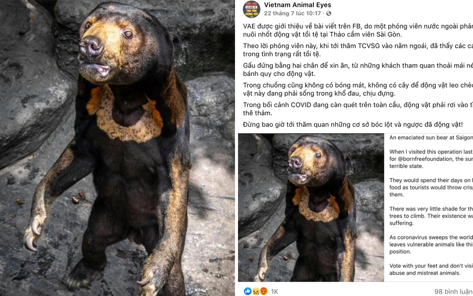 Vietnam Animal Eyes 'tố' Thảo Cầm Viên Sài Gòn đối xử tàn nhẫn với động vật gây tranh cãi dữ dội