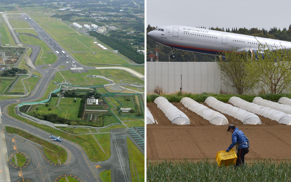 x Từ chối tiền bồi thường 40 tỷ đồng, bác nông dân Nhật Bản kiên trì trồng rau mỗi ngày ngay giữa sân bay