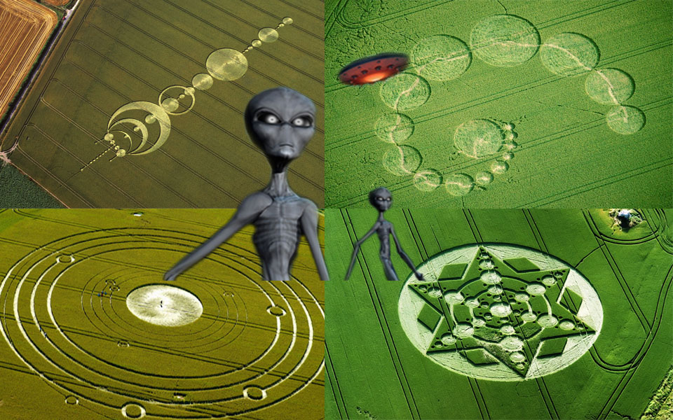 Crop circles - Vòng tròn bí ẩn của người ngoài hành tinh hay trò đùa của nhân loại?