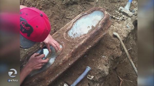 preserved child found in glass coffin un 0 3285379 ver1 0 640 360