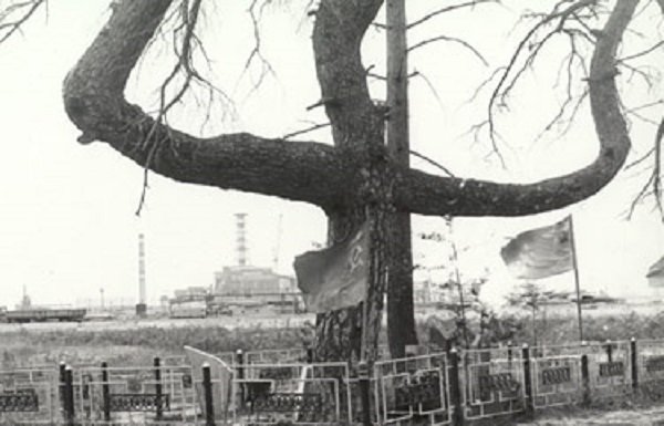chernobyl facts photos 17