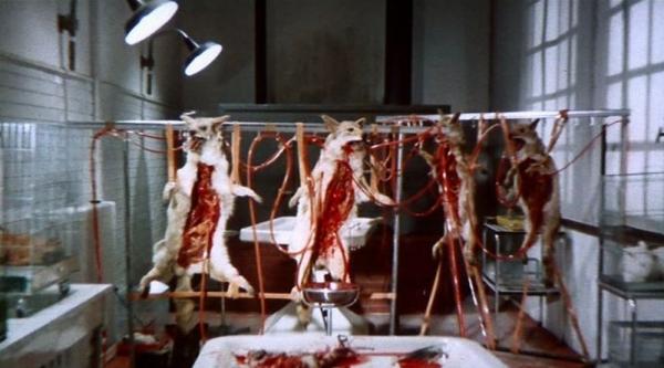 5 horror movies too gruesome that trigger investigations 8