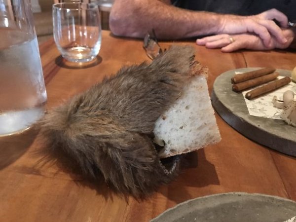 can-someone-just-get-me-a-plate-please-38-photos-15 can someone just get me a plate please 38 photos 15