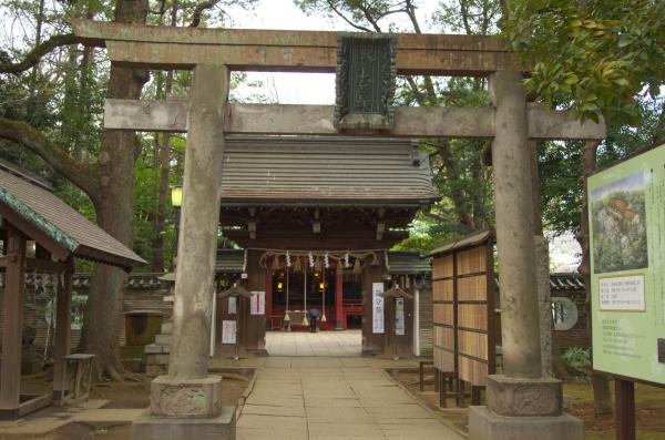 akasaka hikawa shrine e8b5a4e59d82e6b0b7e5b79de7a59ee7a4be panoramio 4