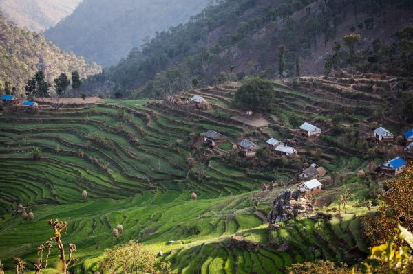the village of dhungani in western nepal where chhaupadi is still common starting in august it will be illegal to force a menstruating woman into seclusion