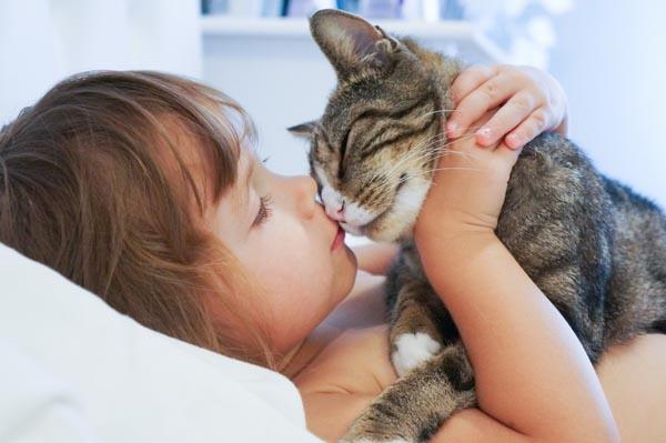 cat kissing child shutterstock 159490340