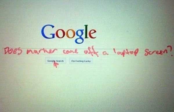 the best funny pictures of marker laptop screen google search