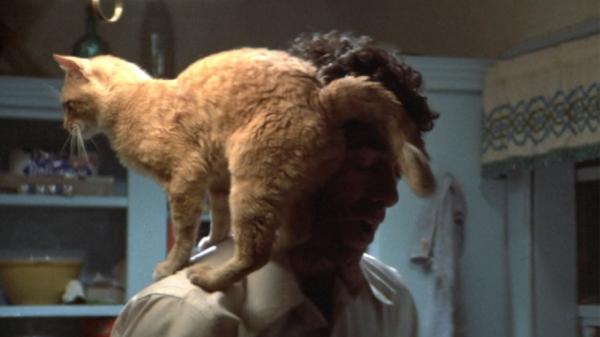 the long goodbye cat movies