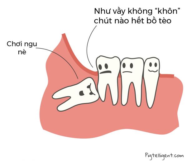 the way of a wisdom tooth 01