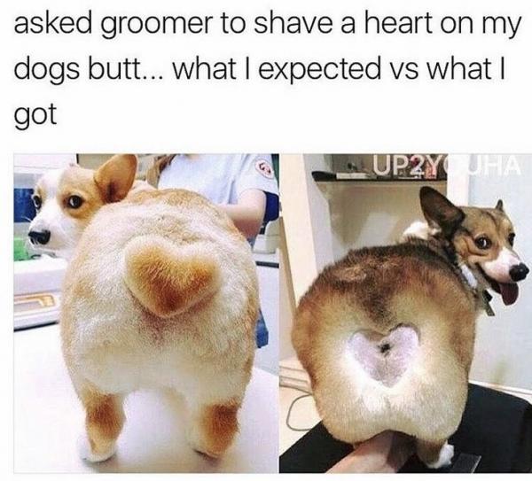 grooming funny 2