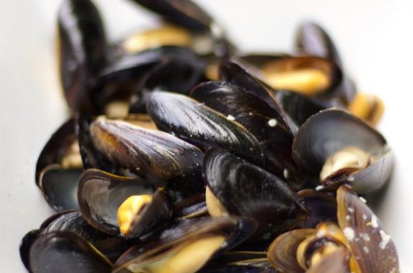 steamed mussels 610x404