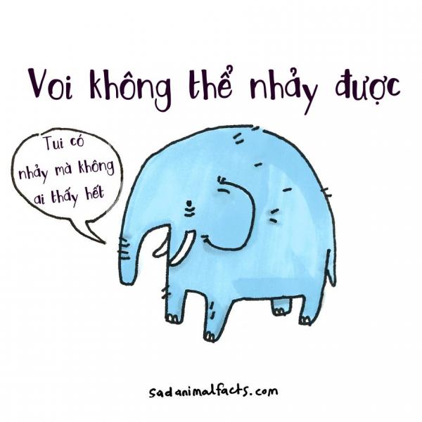 sad animal facts are the cutest way to ruin your day1 880 1