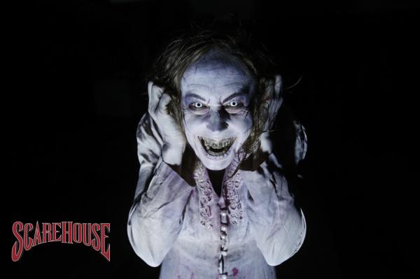 scarehouse the basement scare house demon