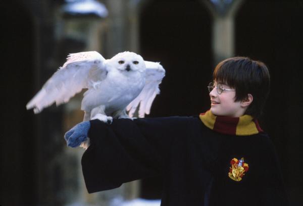 harry potter facts 12