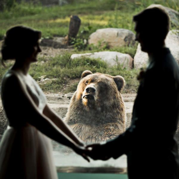 bear photobombs wedding3 5b9a064f671aa 700