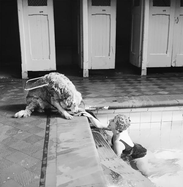a blind woman relaxes at the local swimming pool watched over by her guide dog 1966