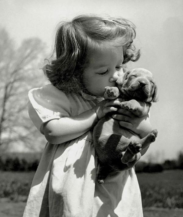 hristina goldsmith kissing a weimaraner puppy from her fathers stock of weimaraner hunting dogs 1950