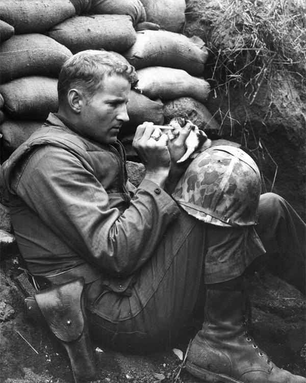 marine sergeant frank praytor feeding an orphaned kitten he adopted the kitten after the mother cat died during the war