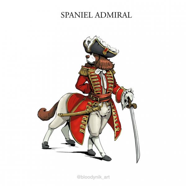 spaniel admiral 5badb2ace16f0 png 880