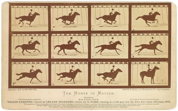 time 100 influential photos eadweard muybridge horse motion 7