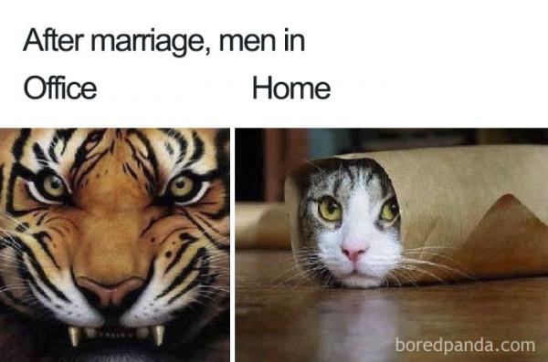 funny marriage memes41 5bbcc1563e5ae 700