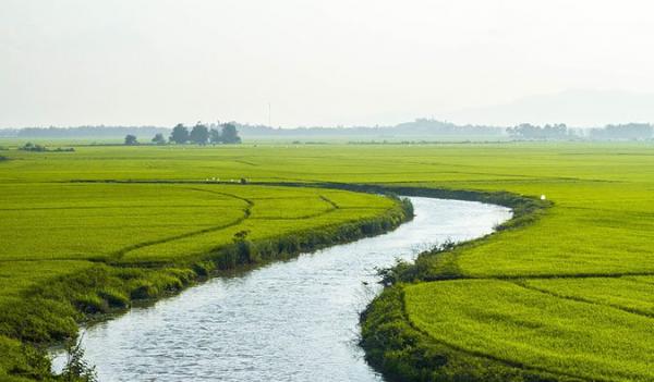 vietnamcountry vietnamcountry