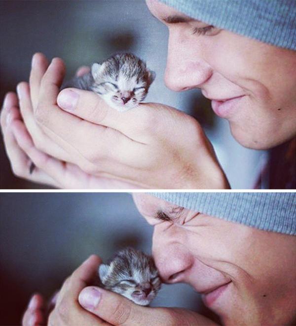 hot dudes with kittens instagram 391 605