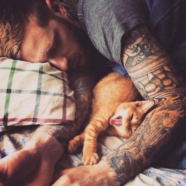 hot dudes with kittens instagram 431 605