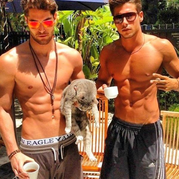 hot dudes with kittens instagram 46 605