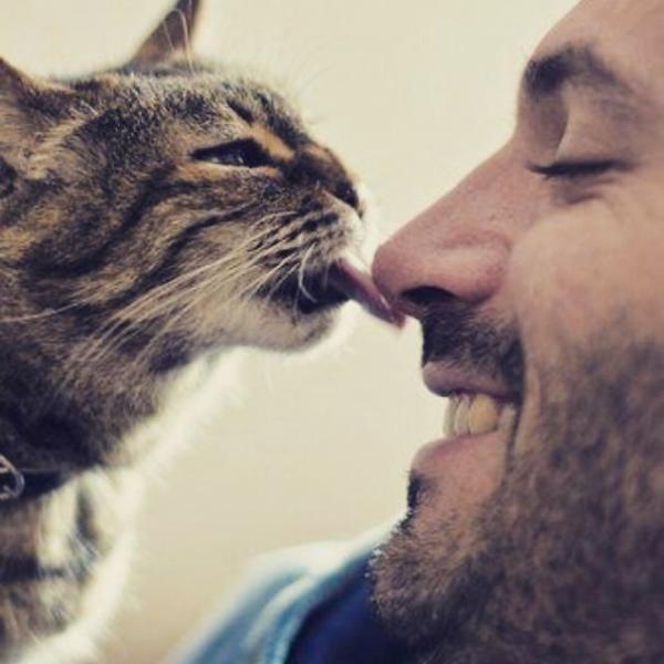 hot dudes with kittens instagram 605