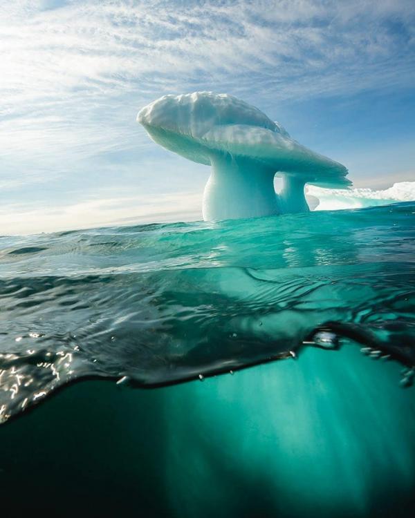 mushroom iceberg