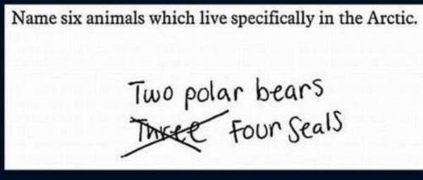 10 of the funniest exam answers youll ever see 5