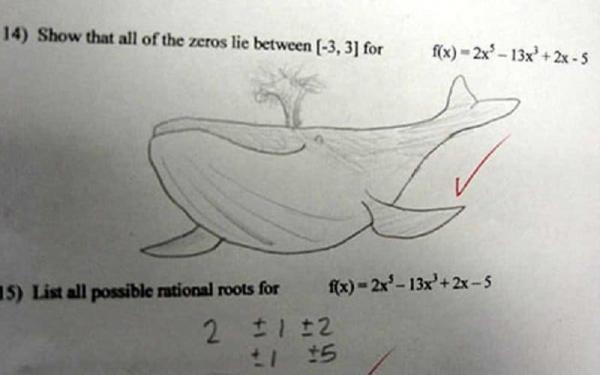 10 of the funniest exam answers youll ever see 7