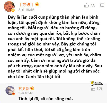 lost bird lam canh tan 9