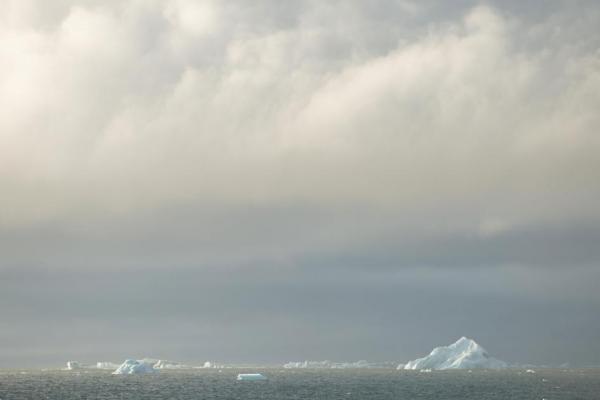 Quần đảo Franz Josef thuộc Công viên Quốc gia Vùng Cực Nga, nằm ở phía bắc Biển Barents, được bao quanh vĩnh viễn bởi băng biển từ khi nó được khám phá và thám hiểm vào những năm 1800. Ngày nay, Biển Barents là một trong những vùng thuộc Bắc Cực bị ảnh hưởng nghiêm trọng bởi sự ấm lên toàn cầu, những tảng băng trôi được tách ra từng những thềm băng lớn và tan chảy ngày càng nhiều. Ảnh: Enric Sala.