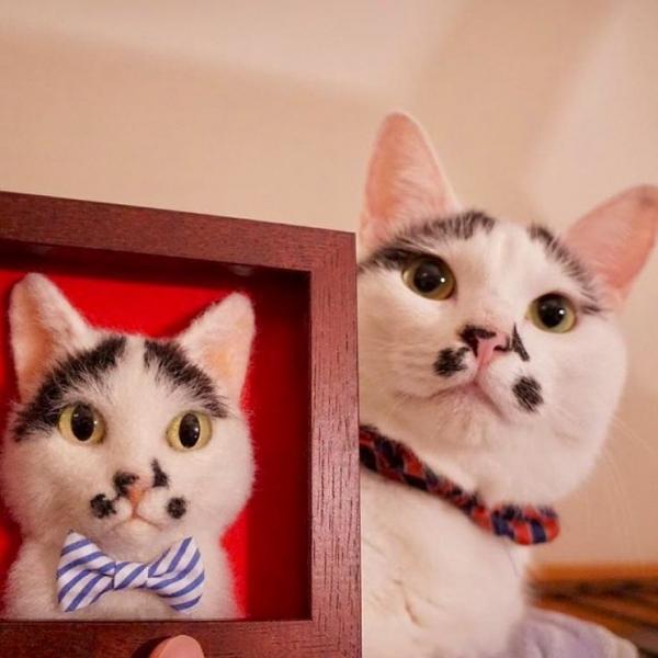 artist makes hyper realistic cats using felted wool and the result is wonderful 5b51cb5ed02f6 880