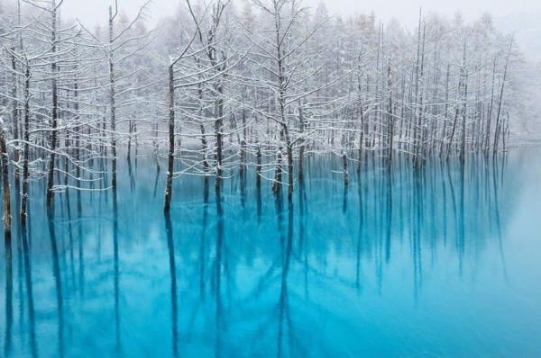 blue pond photo by kent shiraishi 1
