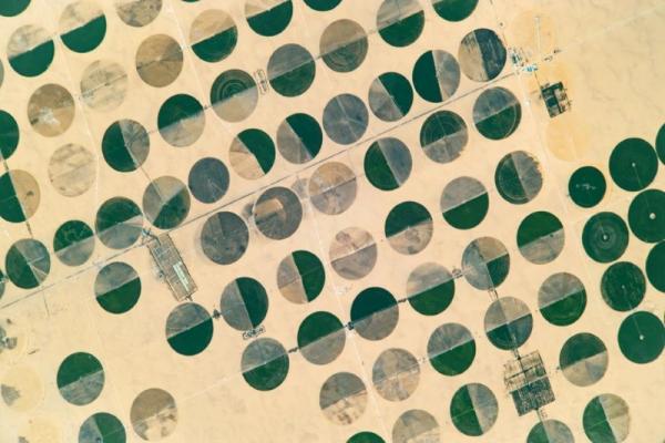 Cái nhìn từ trên cao luôn cho chúng ta cảm giác bất ngờ về những công trình đầy tính sáng tạo của con người. Trong hình ảnh này được chụp ở Sharq El Owainat, tây nam Ai Cập vào ngày 6 tháng 10 năm 2016, các cánh đồng có dạng hình tròn đang xuất hiện và tạo nên một bức tranh họa tiết đẹp mắt. Những cánh đồng xanh tươi nằm giữa sa mạc khô cằn, là kết quả của hệ thống tưới tiêu thông minh, tận dụng tối đa nguồn nước khan hiếm nhằm tăng năng suất cho nông nghiệp.