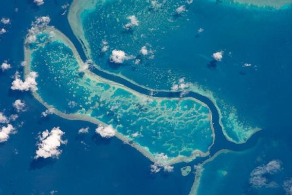 Ba rạn san hô lớn thuộc Rạn san hô Great Barrier của Úc được chụp hình từ trên ISS vào ngày 12 tháng 10 năm 2015. Đây là quần thể san hô lớn nhất trên Trái Đất với khoảng 3.000 rạn san hô lớn nhỏ và độc lập. Đây cũng là hệ sinh thái tự nhiên phức tạp nhất với khoảng 600 loại san hô và hàng ngàn loài sinh vật từ các sinh vật phù du đến cá voi khổng lồ. Các rạn san hô dễ dàng được nhìn thấy từ không gian vì màu xanh óng ánh của chúng đối lập với màu xanh sẫm của nước biển sâu.