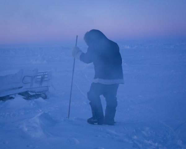 Ông Darcy Enoogoo đang tìm kiếm một lỗ được chính ông đánh dấu trước đó tại vùng biển bị đóng băng trong vịnh Bắc Cực. Người Inuit phụ thuộc rất nhiều vào săn bắt truyền thống, dù nhiệt độ ấm lên toàn cầu khiến việc săn bắt trở nên nguy hiểm hơn và thời gian mùa săn bị rút ngắn đáng kể.