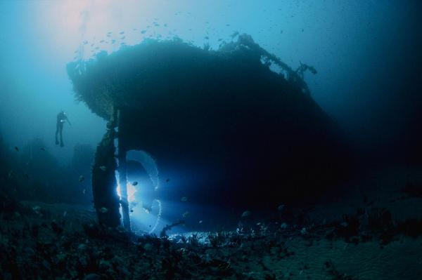 SS Nord, tàu chở dầu có chiều dài 82 mét đã bị đắm vào năm 1915. Xác của tàu nằm gần như thẳng đứng ở Đảo Tasman, Tasmania. Ảnh: David Doubilet/National Geographic.
