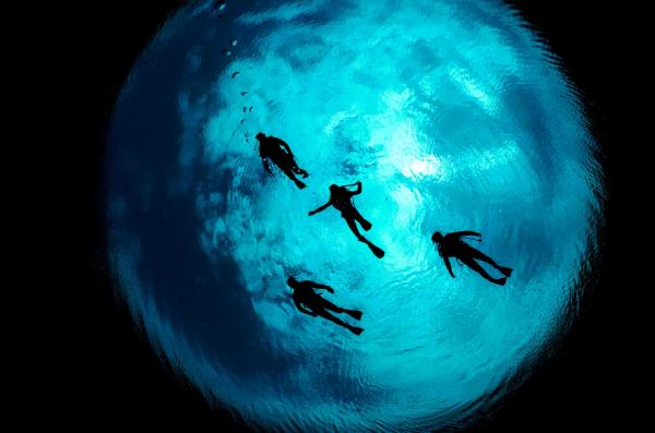 Bốn thợ lặn đang bơi qua vùng biển Ewens Pond, phía nam Núi Gambier, Australia. Ảnh: David Doubilet/National Geographic.