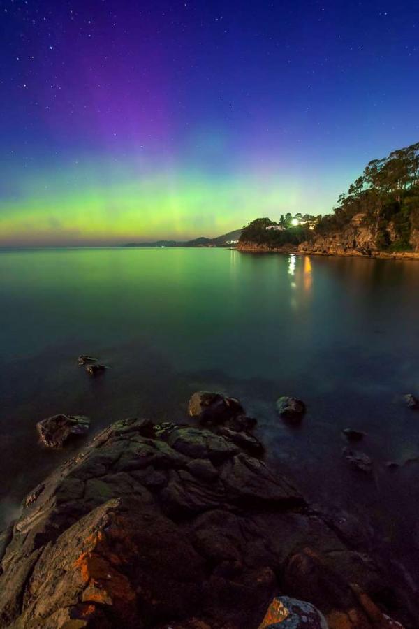 Cực quang thắp sáng cả vùng trời ở khu công viên tiền sử thuộc Vườn quốc gia Boronia, ở Tasmania, Australia. Ảnh: Xavier Hoenner Photography/Getty Images.
