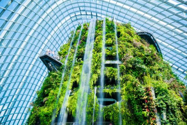 Khu bảo tồn Rừng Mây (The Cloud Forest) ở công viên Gardens by the Bay của Singapore. Thác nước trong hình là thác nước trong nhà lớn nhất thế giới. Ảnh: Dutsadee/Shutterstock.