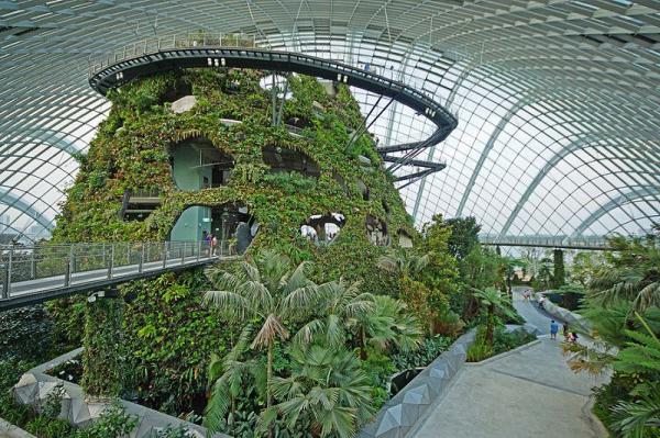 Công viên Gardens by the Bay của Singapore được xây dựng trên một khu đất hoang. Ảnh: Allie Caulfield /Wikimedia Commons.