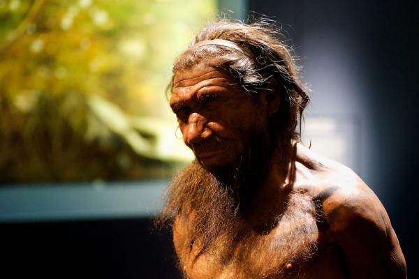 Tượng sáp dựng lại ngoại hình của Người Neanderthal tại Bảo tàng Lịch sử Tự nhiên Anh Quốc. Ảnh: Paul Hudson.