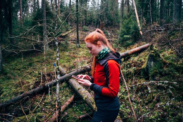 Inna Salminen (27 tuổi), một kỹ sư lâm học, đang sử dụng điện thoại thông minh để quản lý một khu rừng ở Nurmijarvi, Phần Lan. Inna sử dụng ứng dụng trên điện thoại để kiểm soát rừng và lên kế hoạch cụ thể cho từng vùng trong khu rừng, công nghệ số đã giúp cô cùng những kiểm lâm làm công việc này tốt hơn. Ảnh: Alessandro Rampazzo/AFP/Getty.