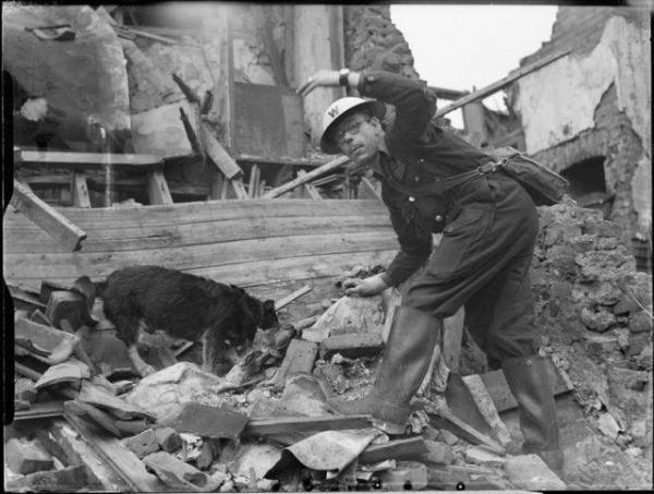 air raid precautions dog at work in poplar london england 1941 d5945 640x484